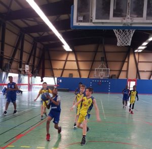 BASKET