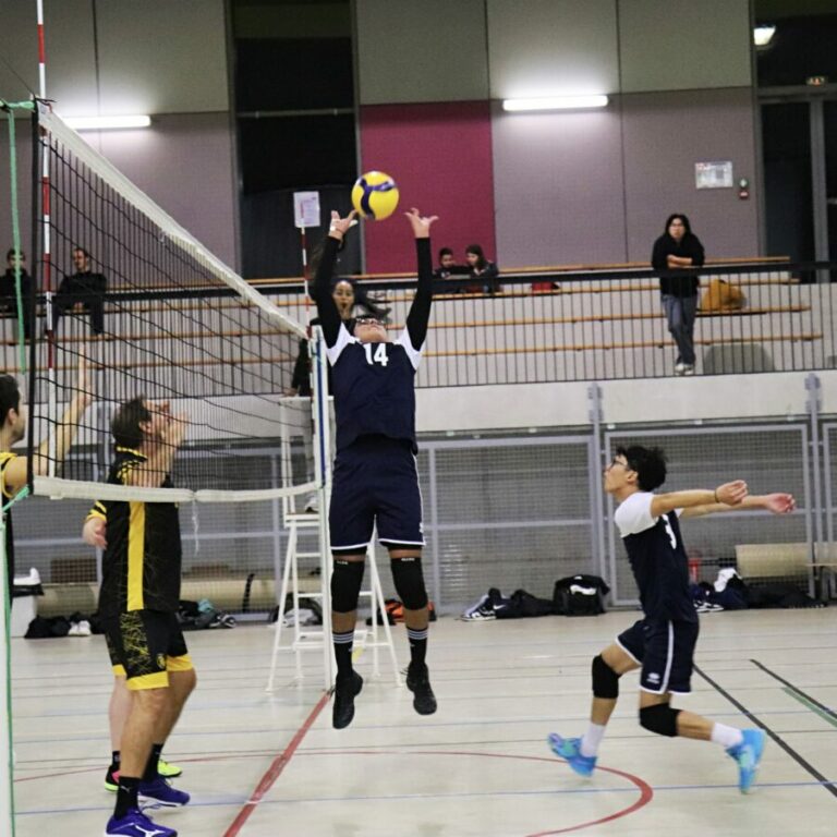 VOLLEY