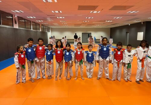 Club Omnisports de Courcouronnes