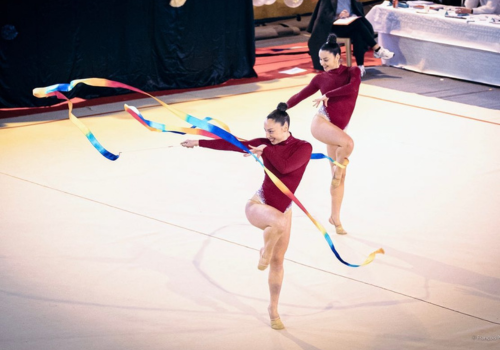 Club Omnisports de Courcouronnes