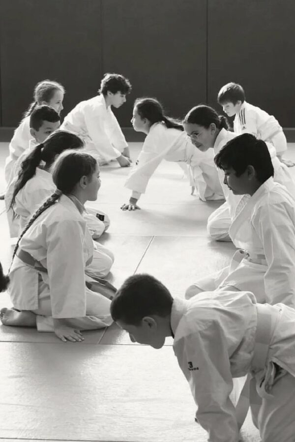 Aikido enfants et adultes - Club Omnisports Courcouronnes COC Evry