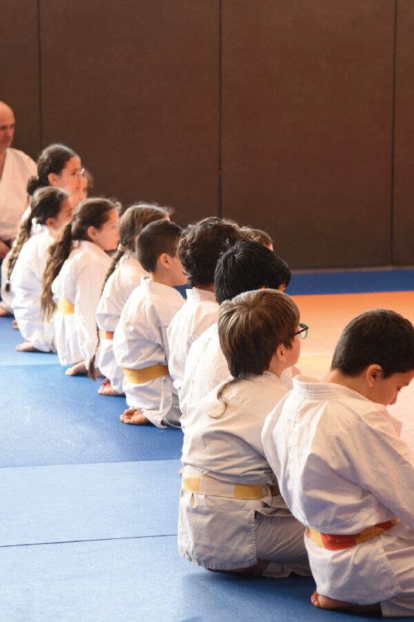 Aikido enfants et adultes - Club Omnisports Courcouronnes COC Evry
