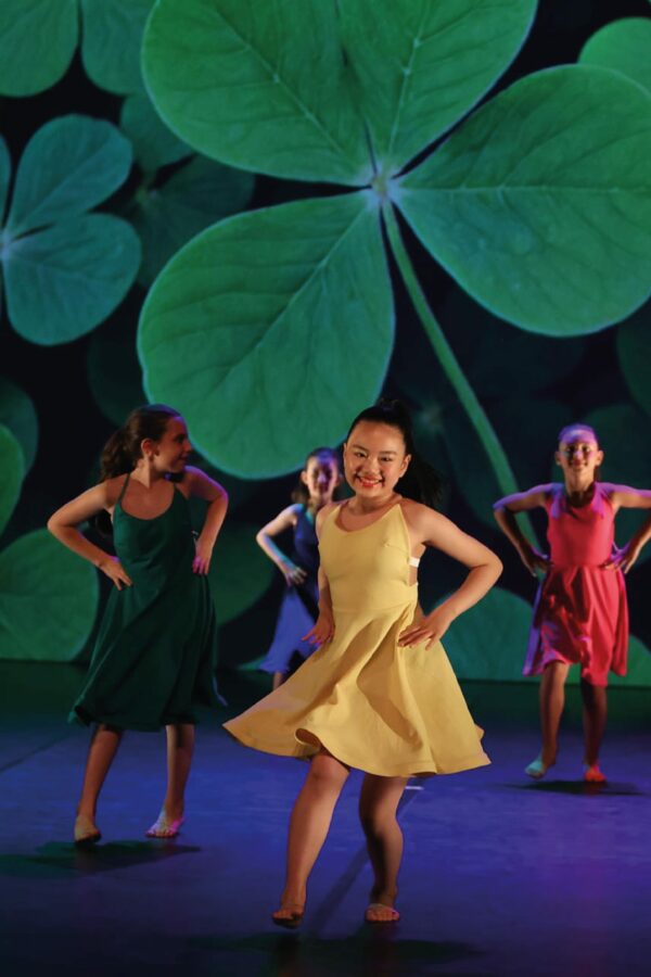 Planning Danse Hip-Hop Modern Jazz Street Jazz Modern Fusion enfants et adultes -Club Omnisports Courcouronnes COC Evry