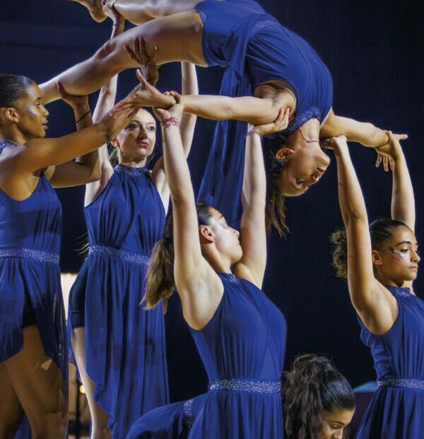 Gym gymnastique Artistique Féminine Masculine GAF GAM baby gym garçons filles adultes enfants loisir compétition - Club Omnisports Courcouronnes COC Evry