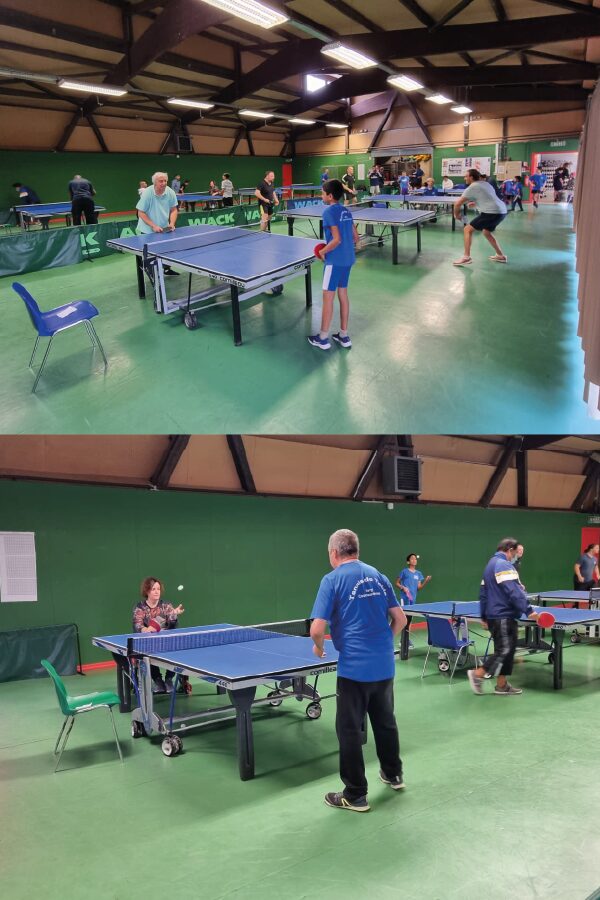 Tennis de table et ping pong enfant et adulte et handi - Club Omnisports Courcouronnes COC