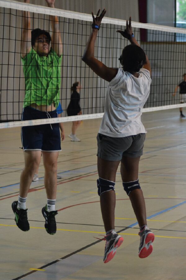 Volley ball enfant et adulte - Club Omnisports Courcouronnes COC