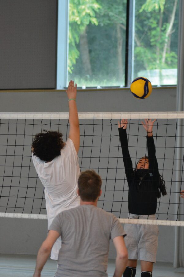 Volley ball enfant et adulte - Club Omnisports Courcouronnes COC