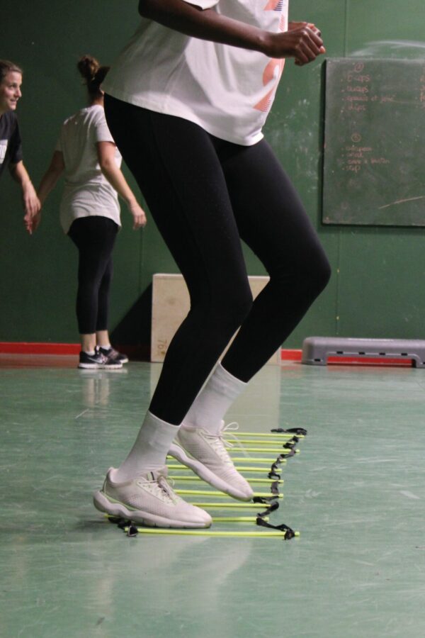 Sport Santé sénior - Club Omnisports Courcouronnes COC