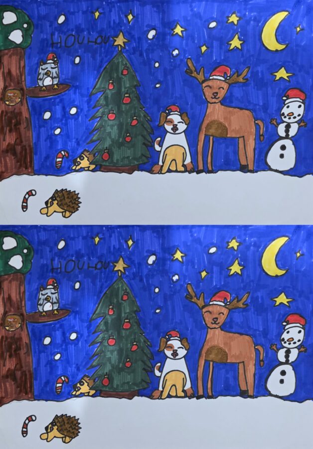 Gagnants concours de dessin 2025 - evry courcouronnes Club Omnisports Courcouronnes COC